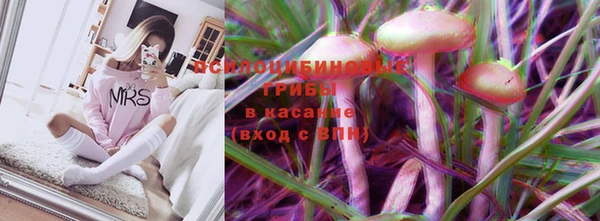 a pvp Баксан
