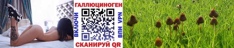 что такое наркотик Верхнеуральск Галлюциногенные грибы Psilocybe
